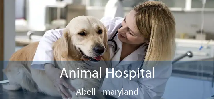 Animal Hospital Abell - maryland