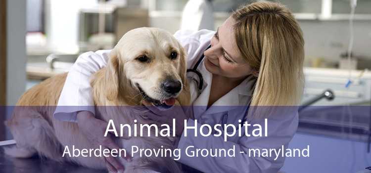 Animal Hospital Aberdeen Proving Ground - maryland