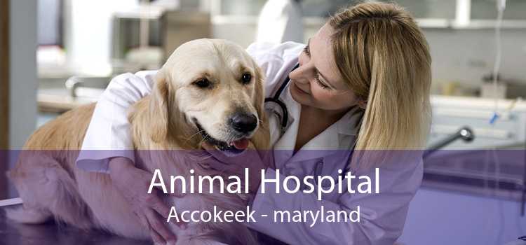 Animal Hospital Accokeek - maryland