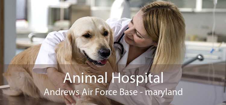 Animal Hospital Andrews Air Force Base - maryland