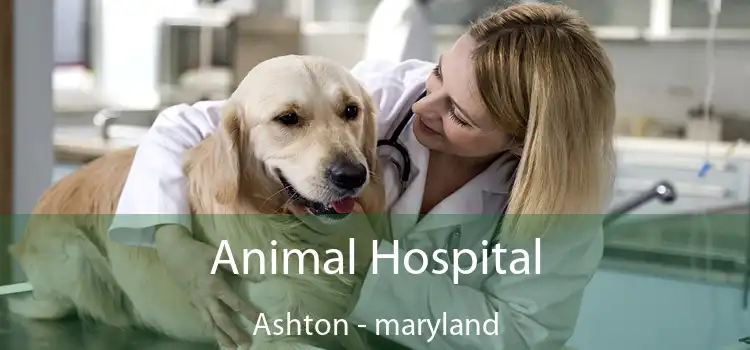 Animal Hospital Ashton - maryland