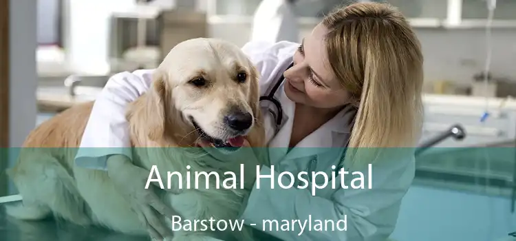 Animal Hospital Barstow - maryland