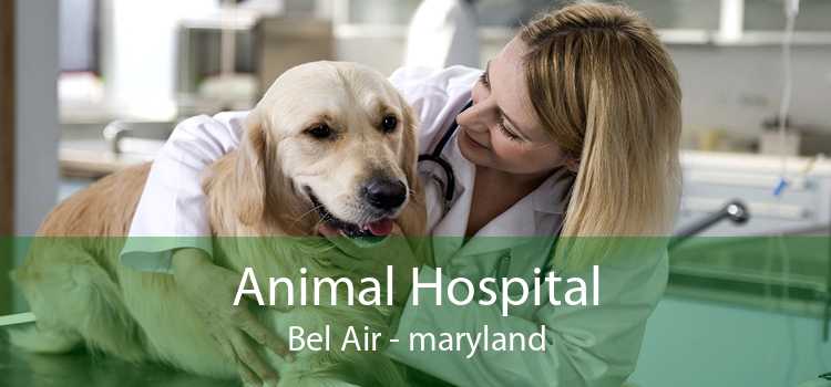 Animal Hospital Bel Air - maryland