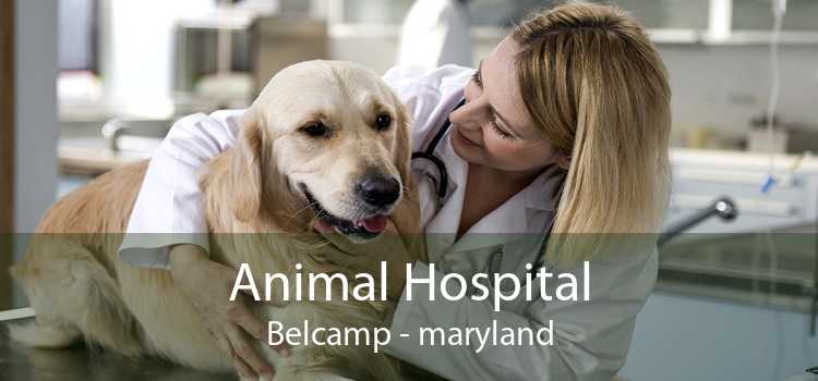 Animal Hospital Belcamp - maryland