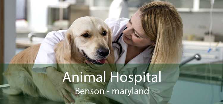 Animal Hospital Benson - maryland