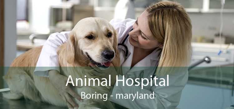 Animal Hospital Boring - maryland