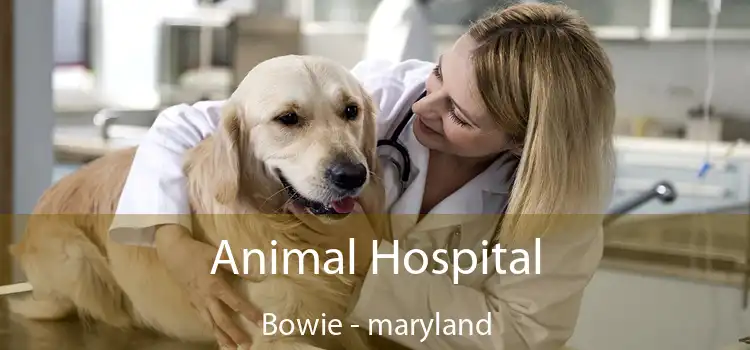 Animal Hospital Bowie - maryland