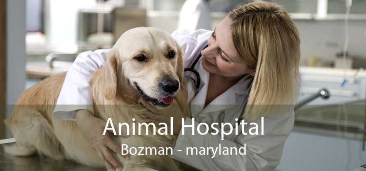 Animal Hospital Bozman - maryland