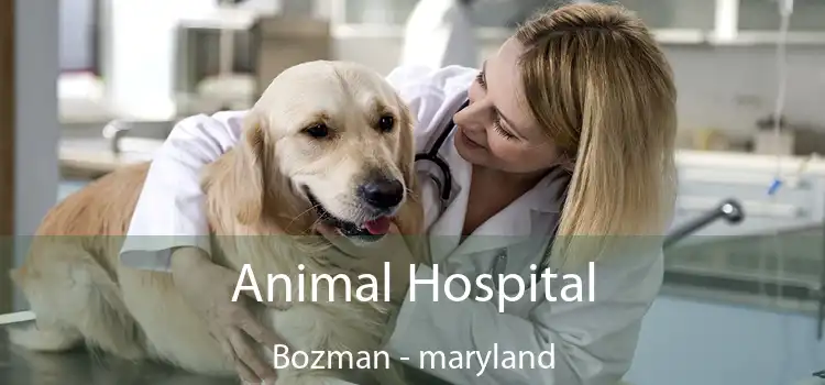 Animal Hospital Bozman - maryland