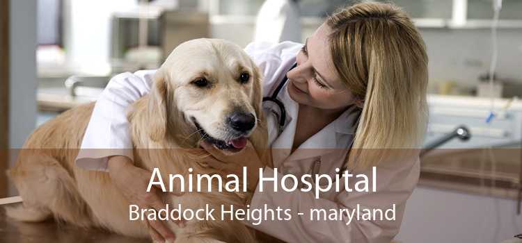 Animal Hospital Braddock Heights - maryland
