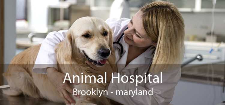 Animal Hospital Brooklyn - maryland