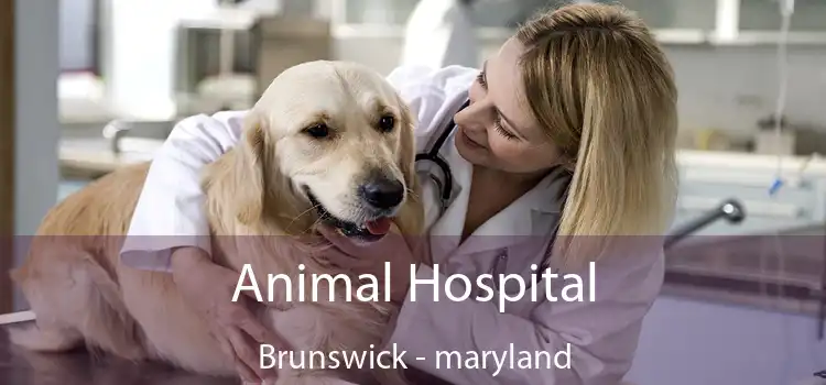 Animal Hospital Brunswick - maryland