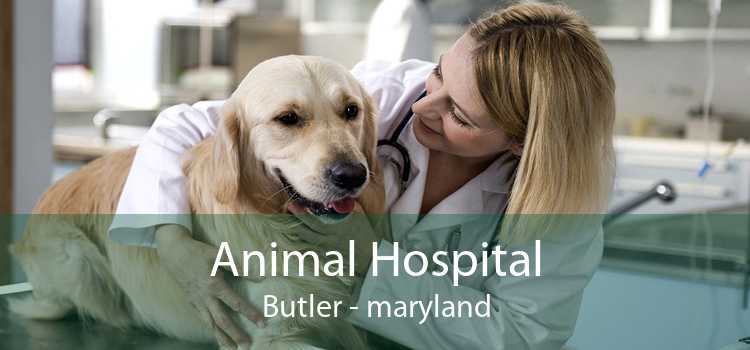 Animal Hospital Butler - maryland