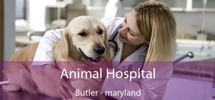 Animal Hospital Butler - maryland