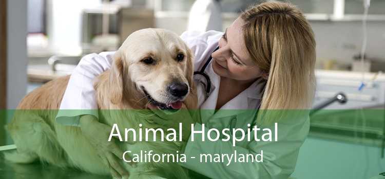 Animal Hospital California - maryland