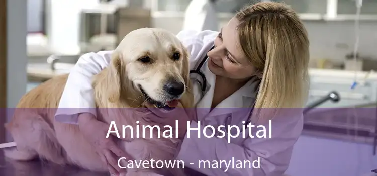 Animal Hospital Cavetown - maryland