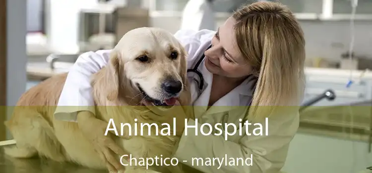 Animal Hospital Chaptico - maryland