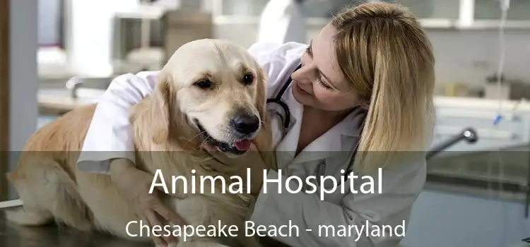 Animal Hospital Chesapeake Beach - maryland