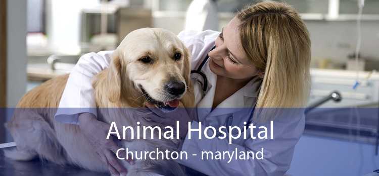 Animal Hospital Churchton - maryland