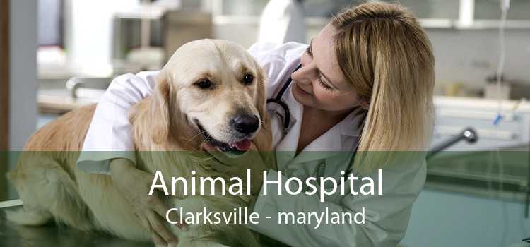 Animal Hospital Clarksville - maryland