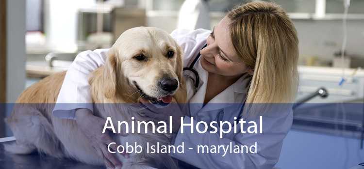 Animal Hospital Cobb Island - maryland