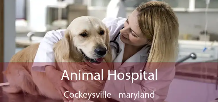 Animal Hospital Cockeysville - maryland