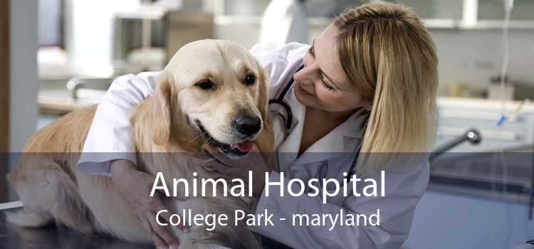 Animal Hospital College Park - maryland