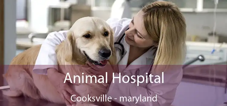 Animal Hospital Cooksville - maryland