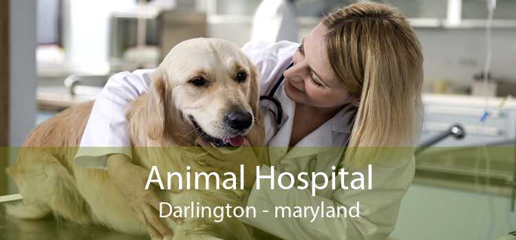 Animal Hospital Darlington - maryland