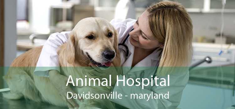 Animal Hospital Davidsonville - maryland