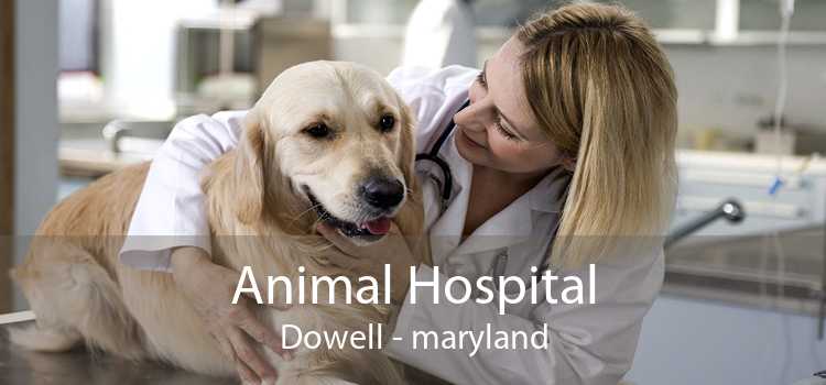 Animal Hospital Dowell - maryland