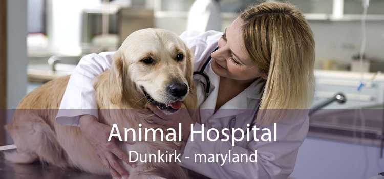 Animal Hospital Dunkirk - maryland