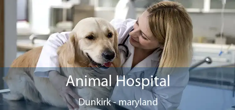 Animal Hospital Dunkirk - maryland