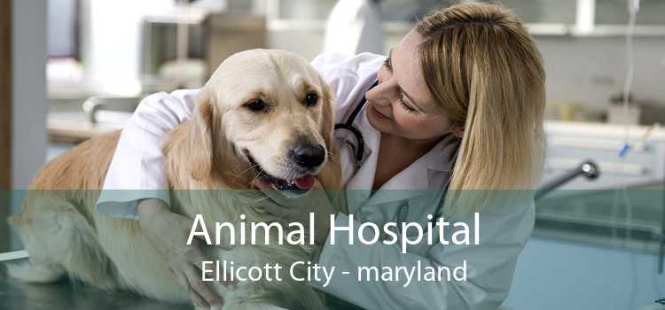 Animal Hospital Ellicott City - maryland
