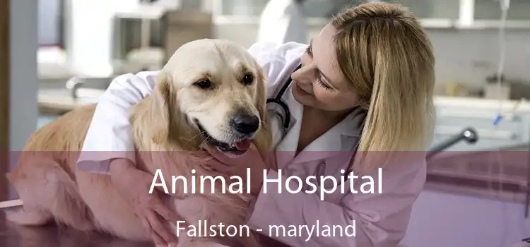 Animal Hospital Fallston - maryland