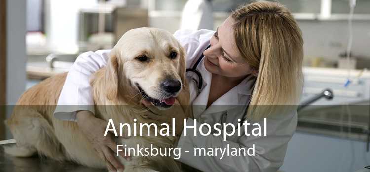 Animal Hospital Finksburg - maryland