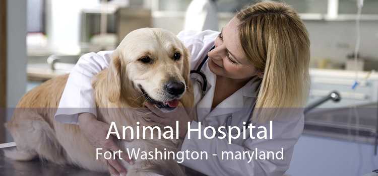 Animal Hospital Fort Washington - maryland