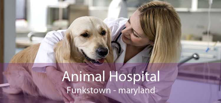 Animal Hospital Funkstown - maryland