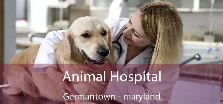 Animal Hospital Germantown - maryland