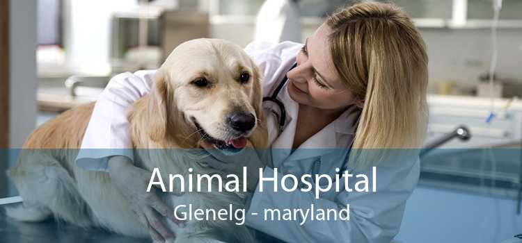 Animal Hospital Glenelg - maryland