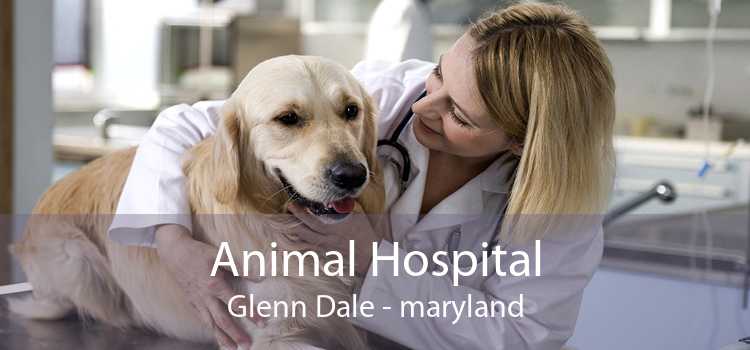 Animal Hospital Glenn Dale - maryland
