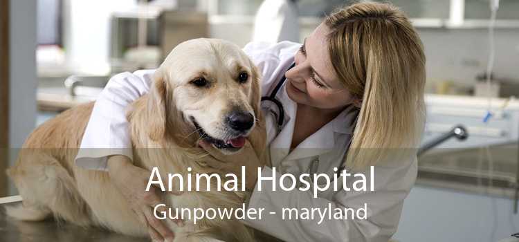 Animal Hospital Gunpowder - maryland