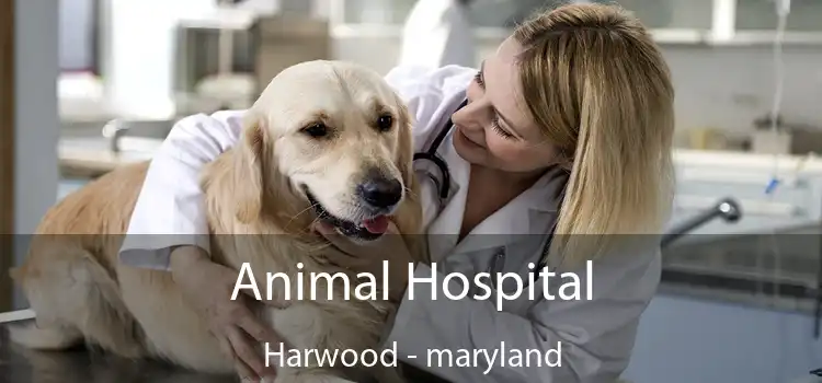 Animal Hospital Harwood - maryland