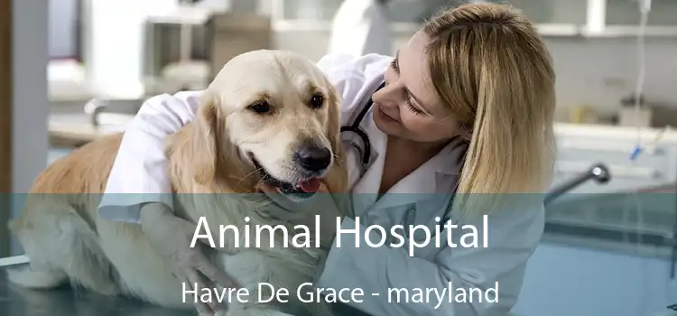 Animal Hospital Havre De Grace - maryland
