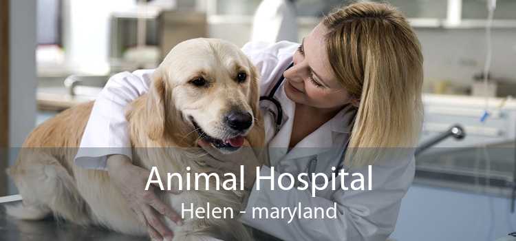 Animal Hospital Helen - maryland