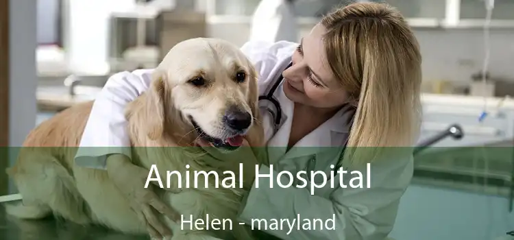 Animal Hospital Helen - maryland