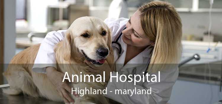 Animal Hospital Highland - maryland