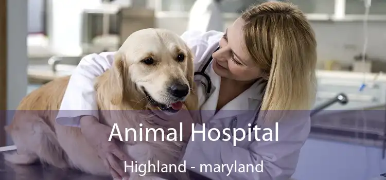 Animal Hospital Highland - maryland
