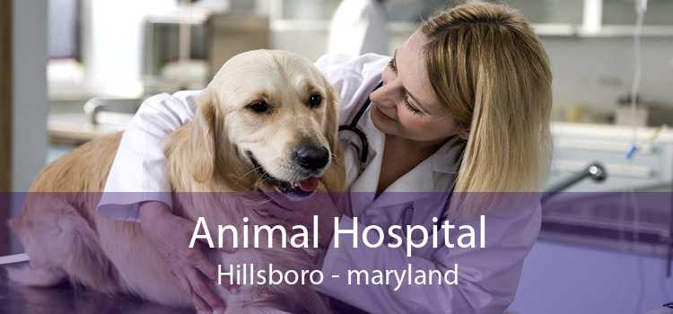 Animal Hospital Hillsboro - maryland