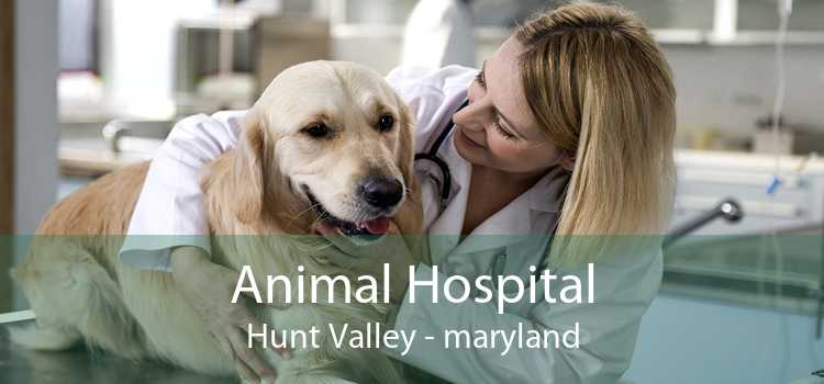 Animal Hospital Hunt Valley - maryland